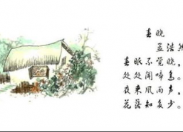 诗的资料