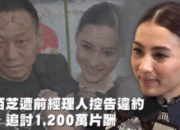 最丑的娱乐吃瓜人,揭秘幕后真相与笑料百出